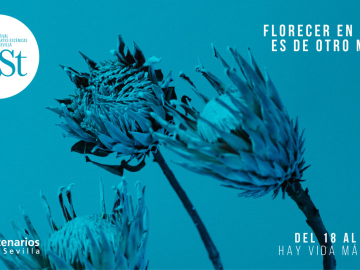 El feSt florece en el Teatro TNT