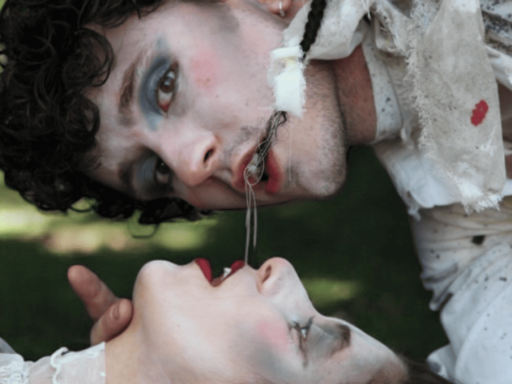 33 espectáculos de nueve países de Europa y América han pasado por TNT en siete intensas semanas